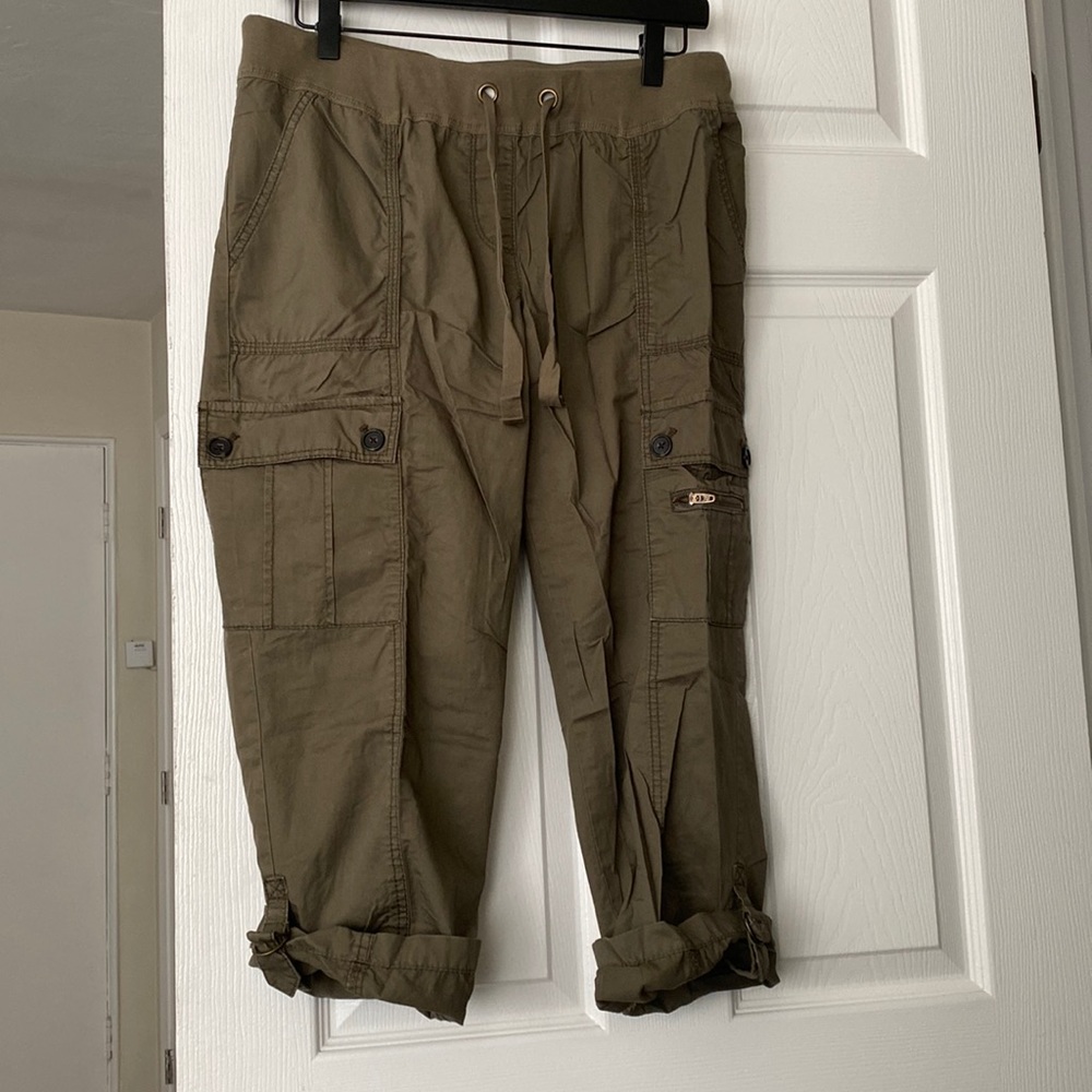 Capri Pants Ann Taylor